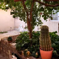 همکف از اپارتمان|فروش آپارتمان|محمدشهر, محمدشهر|دیوار