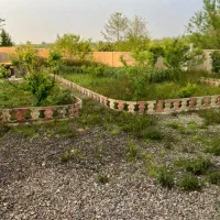 سریدار زون و شوهر (خانواده )