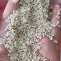 برنج سرلاشه ۱۱۲۱ پاکستانی به ضمانت پخت ارسال رایگا