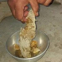 عسل طبیعی