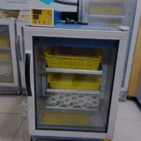 دستگاه جوجه کشی ارکام اسکندری خارجی بلدرچین دماوند