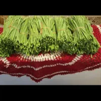 برگ سیر تازه