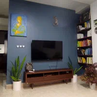 نقاشی ساختمان|خدمات پیشه و مهارت|بهشهر, |دیوار