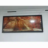 ۳عددتابلوی پاییز،بهاروگل|تابلو، نقاشی، عکس|رشت, جماران|دیوار