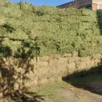 یونجه انباری خشک