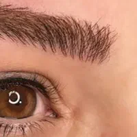 میکرو ابرو و تینت طبیعی لب فقط هزینه مواد|خدمات آرایشگری و زیبایی|بومهن, |دیوار