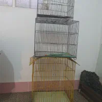 قفس‌پرنده