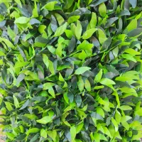 فروش و نصب چمن مصنوعی و فنس چمنی