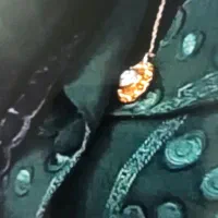 چشمک و زنجیر گمشده