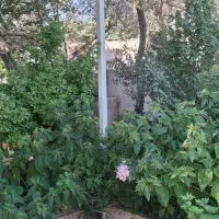 فروش باغ ویلا ۳۵۰ متری|فروش خانه و ویلا|طارم (زنجان), |دیوار