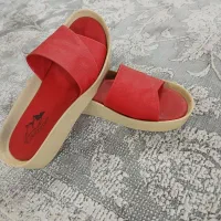 دمپایی رو فرشی در حدنو|کیف، کفش، کمربند|تهران, یاخجی آباد|دیوار