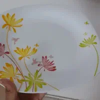 آکروپال|ظروف سرو و پذیرایی|مشهد, قائم|دیوار