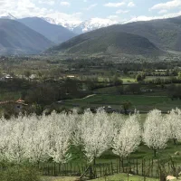 ۹۵۰متر زمین داخل بافت کندلوس