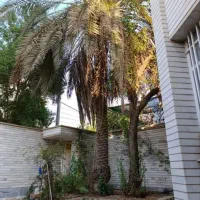 ویلایی-335-متری-عرض-8-ونیم