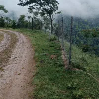 خونه باغ گردو ۱۰۰۰متری|فروش زمین و ملک کلنگی|فریم, |دیوار