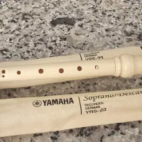 فلوت موسیقی