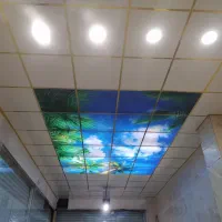 سقف کاذب|خدمات پیشه و مهارت|تهران, فلاح|دیوار