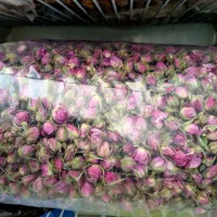 غنچه گل محمدی درجه یک خشک