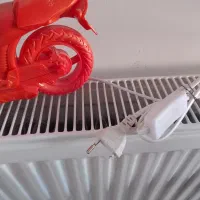 چراغ خواب کودک|چراغ خواب و آباژور|مشهد, آزادشهر|دیوار