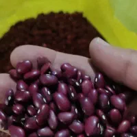 انواع حبوبات، ادویه، نبات و خواربار