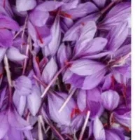 گل زعفران درجه یک.تربت