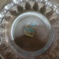 بشقاب شیشه ای انگشتی|ظروف سرو و پذیرایی|اهر, |دیوار