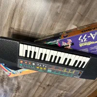 ارگ‌ کاسیو آموزشی