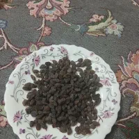 کشمش بسیار تمیز برای امسال کاملا ارگانیک