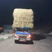 نیسان بار|خودرو سواری و وانت|الوند, |دیوار