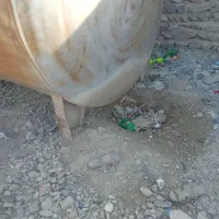 مخزن ۲۱۰۰۰لیتری ورق دو لایه|ماشینآلات صنعتی|پارود, |دیوار