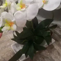گل لمسی ارکیده سفید|گل مصنوعی|کرج, کوی امامیه|دیوار