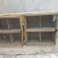 قفس کبوتر