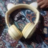 هدفون طرح خرگوشی
