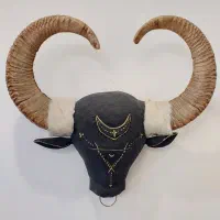 سردیس گاو وحشی باشاخ طبیعی