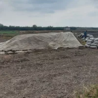 فروش ذرت علوفه یی بسته بندی شده|عمده‌فروشی|فاضل آباد, |دیوار