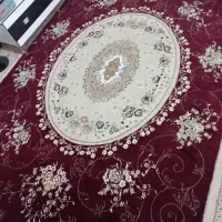 قالی۱۲متری|فرش|شیروان (خراسان), |دیوار