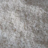 لاشه درشت عطری درجه یک