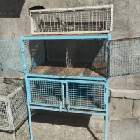 قفس.کبوتر.جفت کن محکم و عمری|پرنده|بروجن, |دیوار