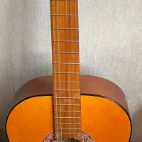 گیتار|گیتار، بیس، امپلیفایر|شیراز, غدیر جنوبی|دیوار