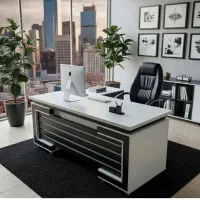 منشی خانم برای مدیر عامل