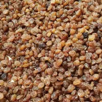 کشمش ارگانیک آفتابی