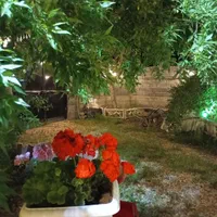 سوییت باغ با همه امکانات بکر و با چشم انداز زیبا|اجارهٔ کوتاه‌مدت آپارتمان و سوئیت|خوانسار, |دیوار