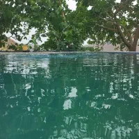 فروش زمین کشاورزی