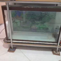 فروش 3 عدد آکواریم به علت جا به جایی|لوازم جانبی حیوانات|مشهد, ادیب نیشابوری (شهرک غرب)|دیوار