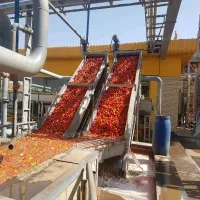 بسته بندی مواد غذایی