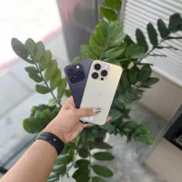 ip 14 pro