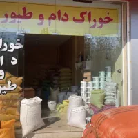 فروشنده مغازه