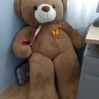 خرس ولنتاین کاملا سالم