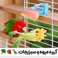 وسیله پرندگان|لوازم جانبی حیوانات|جرقویه, |دیوار