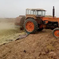 باغبانی درخت کاری